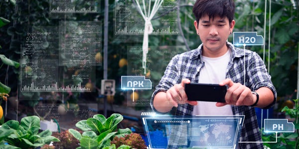 Man using phone to control garden 